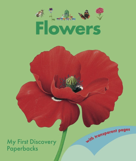 Book cover of: Flowers. By: René Mettler
