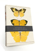 Book cover of: Butterfly Notebook Set. By: Bodleian Library