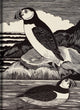 Book cover of: Birds Journal. By: Eric Fitch Daglish
