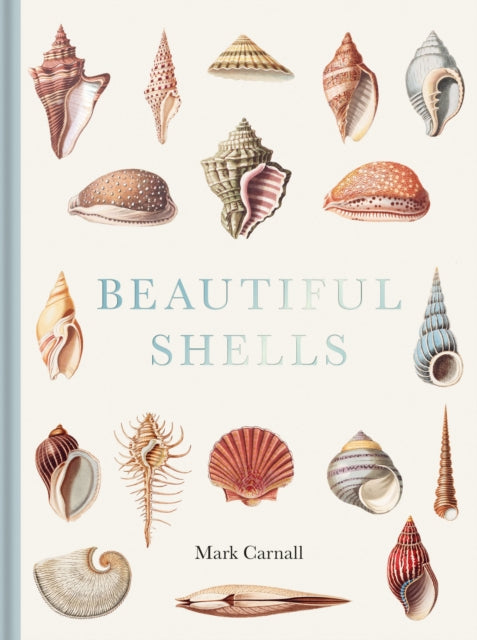 Book cover of: Beautiful Shells. By: Mark Carnall