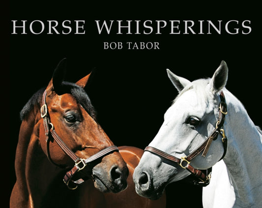 Book cover of: Horse Whisperings. By: Bob Tabor