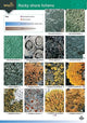 Book cover of: Guide to Rocky Shore Lichens