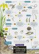Book cover of: Freshwater name trail
