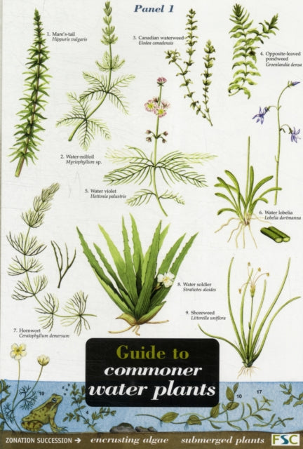 Book cover of: Guide to Commoner Water Plants