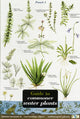 Book cover of: Guide to Commoner Water Plants