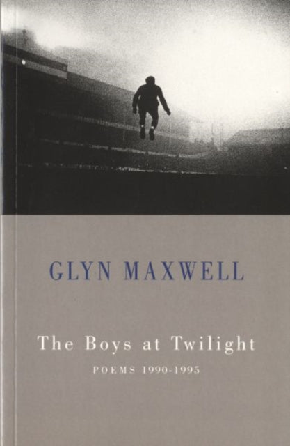 Book cover of: Boys at Twilight