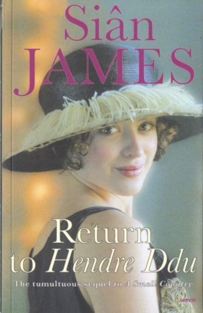 Book cover of: Return to Hendre Ddu