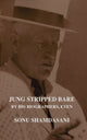 Book cover of: Jung Stripped Bare
