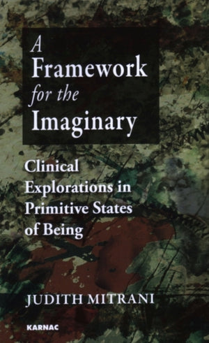A Framework for the Imaginary