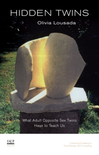 Book cover of: Hidden Twins