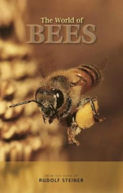 Book cover of: World of Bees. By: Rudolf Steiner
