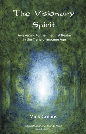Visionary Spirit