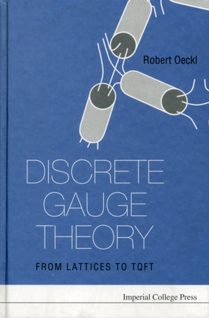 Discrete Gauge Theory: From Lattices To Tqft