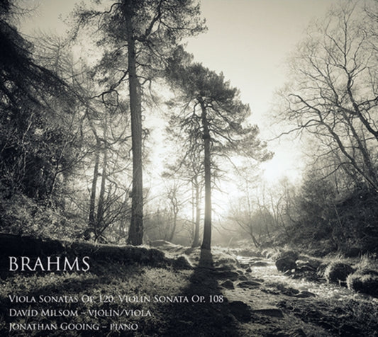 Book cover of: Brahms