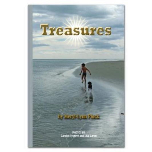 Book cover of: TREASURES - RR SILVER