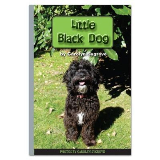 Book cover of: Little Black Dog