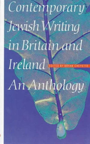 Contemporary Jewish Writing In Britain And Ireland
