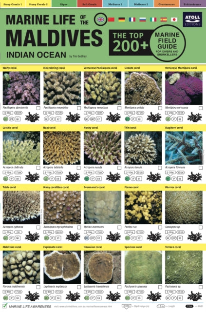 Book cover of: Maldives Marine Life Field Guide. By: Tim Godfrey
