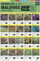 Book cover of: Maldives Marine Life Field Guide. By: Tim Godfrey