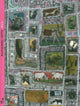 Book cover of: Cow. By: Susan Hawthorne