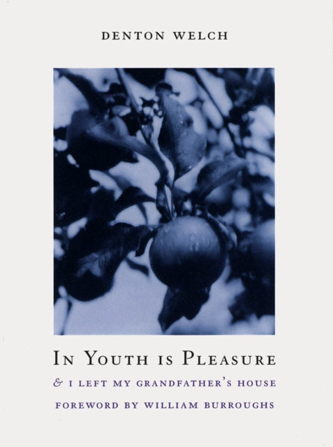 Book cover of: In Youth Is Pleasure. By: Denton Welch
