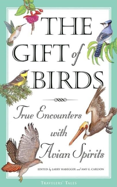 Book cover of: Gift of Birds