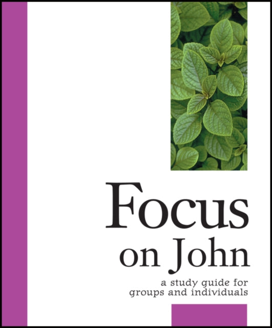 Book cover of: Focus on John. By: Stanley H. Purdam