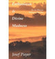 Book cover of: Enthusiasm And Divine Madness