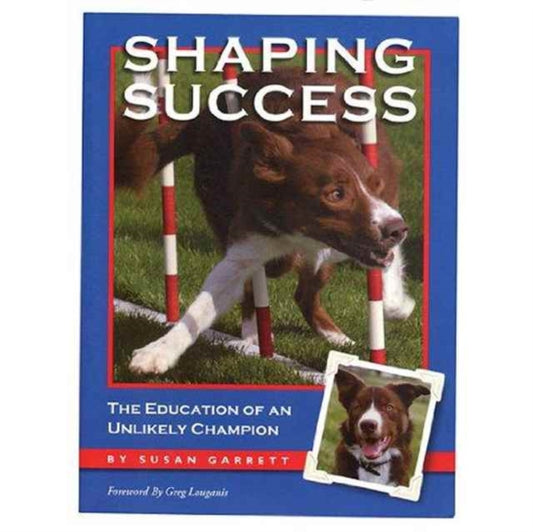 Book cover of: Shaping Success. By: Susan Garrett