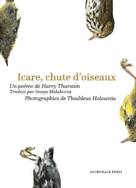 Book cover of: Icare, chute doiseaux. By: Harry Thurston
