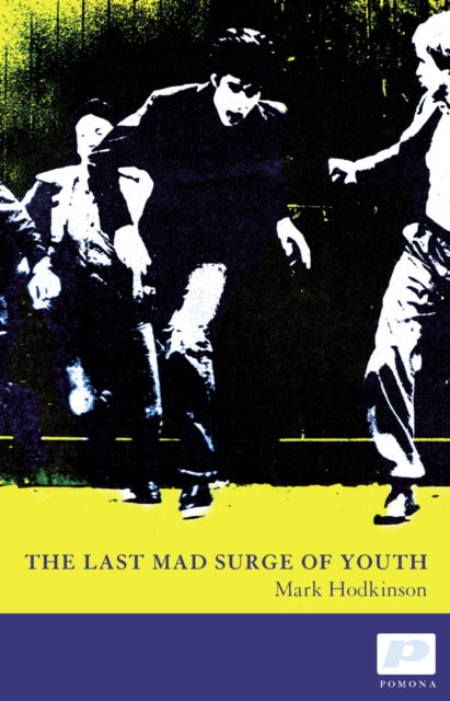 Book cover of: Last Mad Surge of Youth