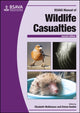 Book cover of: BSAVA Manual of Wildlife Casualties. By: Elizabeth Mullineaux