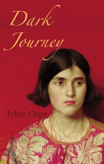 Book cover of: Dark Journey. By: Irfan Orga