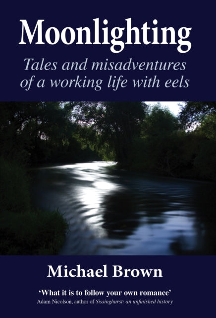 Book cover of: Moonlighting. By: Michael Brown