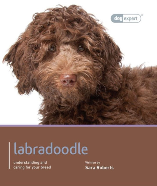 Book cover of: Labradoodle - Dog Expert