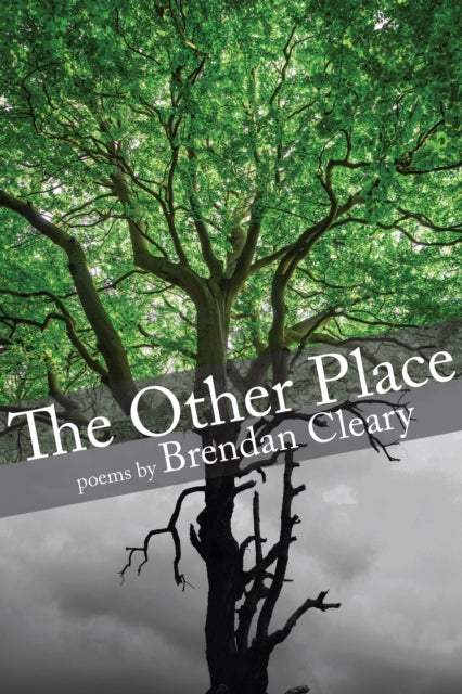 Book cover of: Other Place. By: Brendan Cleary