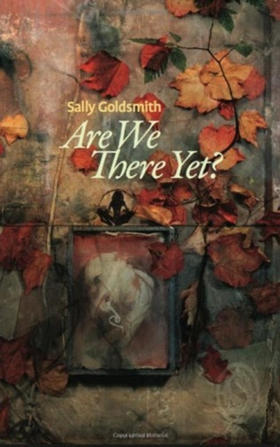 Book cover of: Are We There Yet?. By: Sally Goldsmith
