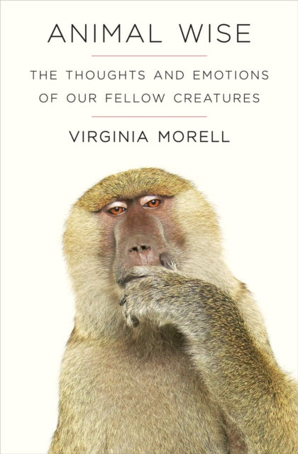 Book cover of: Animal Wise. By: Virginia Morell