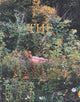 Book cover of: Sian Davey: The Garden