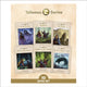 Phonic Books Talisman 2, Alternative vowel and consonant spellings, and Latin suffixes 9781907170768 Phonic Books
