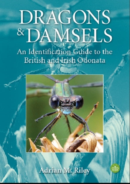 Book cover of: Dragons and Damsels