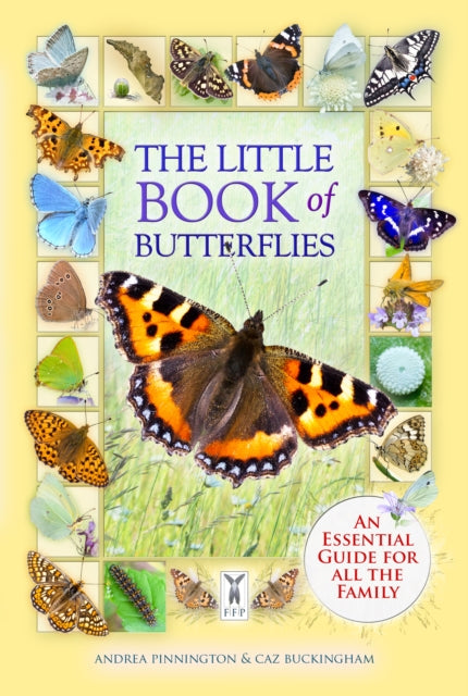 Book cover of: Little Book of Butterflies
