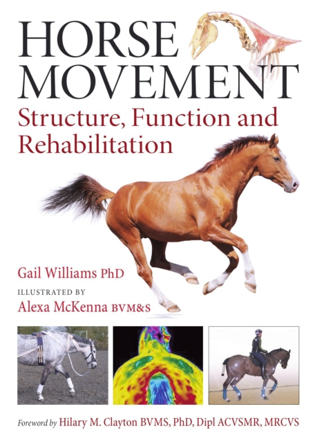 Book cover of: Horse Movement. By: Gail Williams