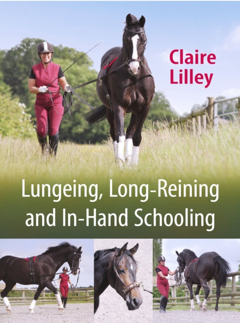 Lungeing, Long-Reining and In-Hand Schooling