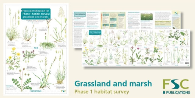 Book cover of: Plant Identification for Phase 1 Habitat Survey: Grassland and Marsh