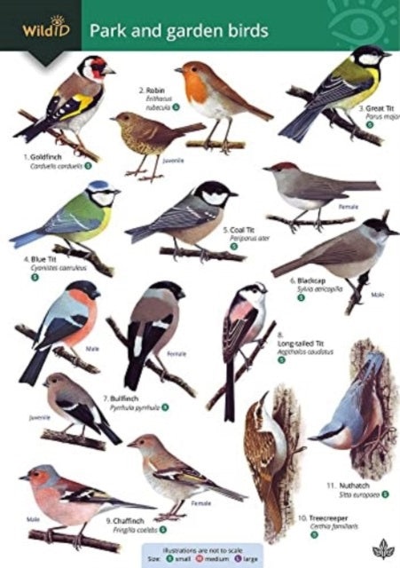 Book cover of: Park and garden birds