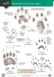 Book cover of: Mammal tracks and signs