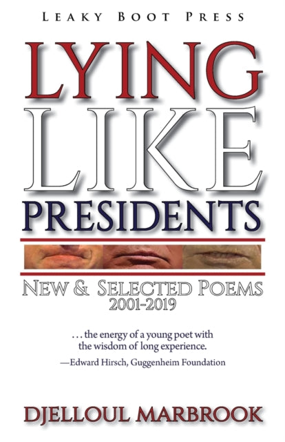 Book cover of: Lying like presidents. By: Djelloul Marbrook