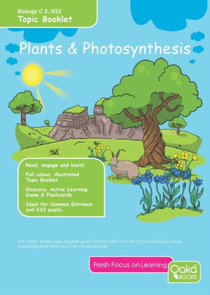 Plants Photosynthesis