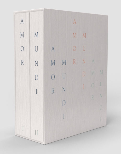 Book cover of: Amor Mundi. By: Gavin Delahunty